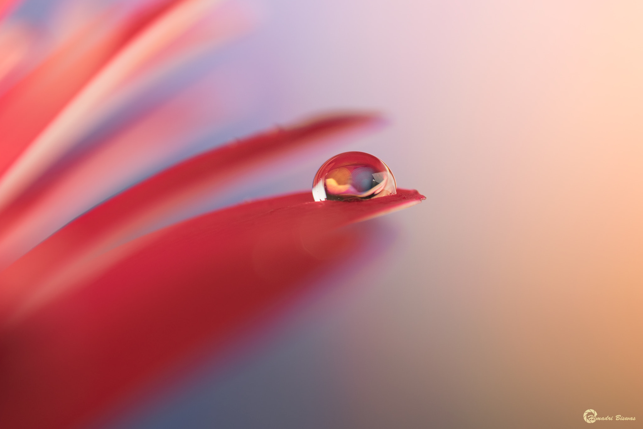 Sigma 105mm F2.8 EX DG OS HSM sample photo. Droplet photography