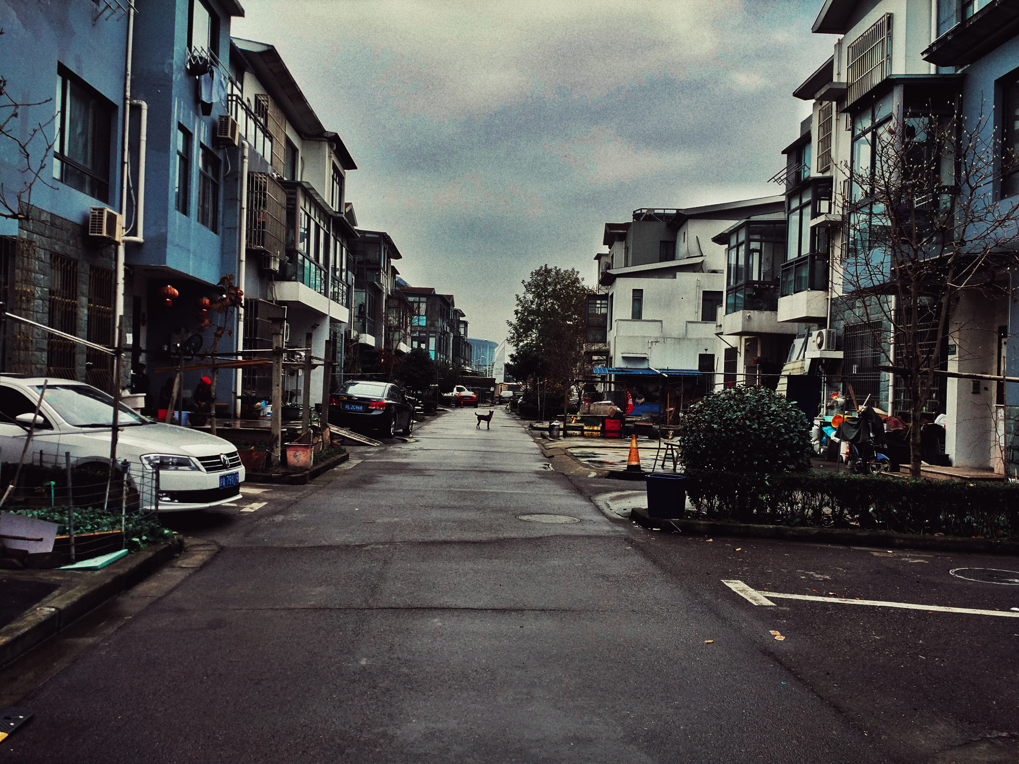 Xiaomi Mi-4c sample photo