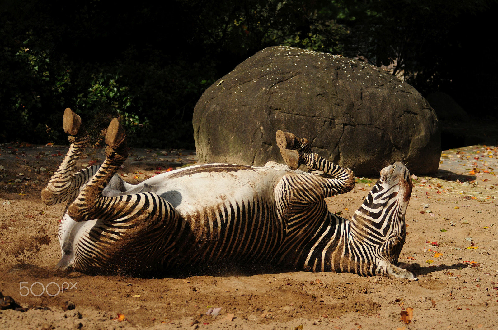 Nikon D300 sample photo. It´s time to relax photography