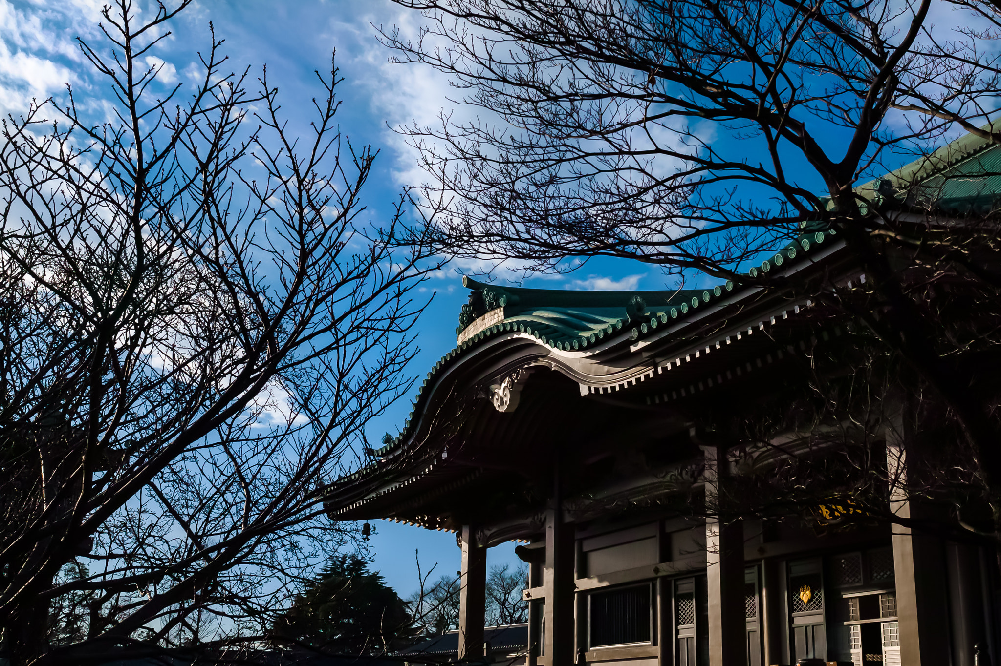 Sigma 35mm F1.4 DG HSM Art sample photo. Happy new year photography