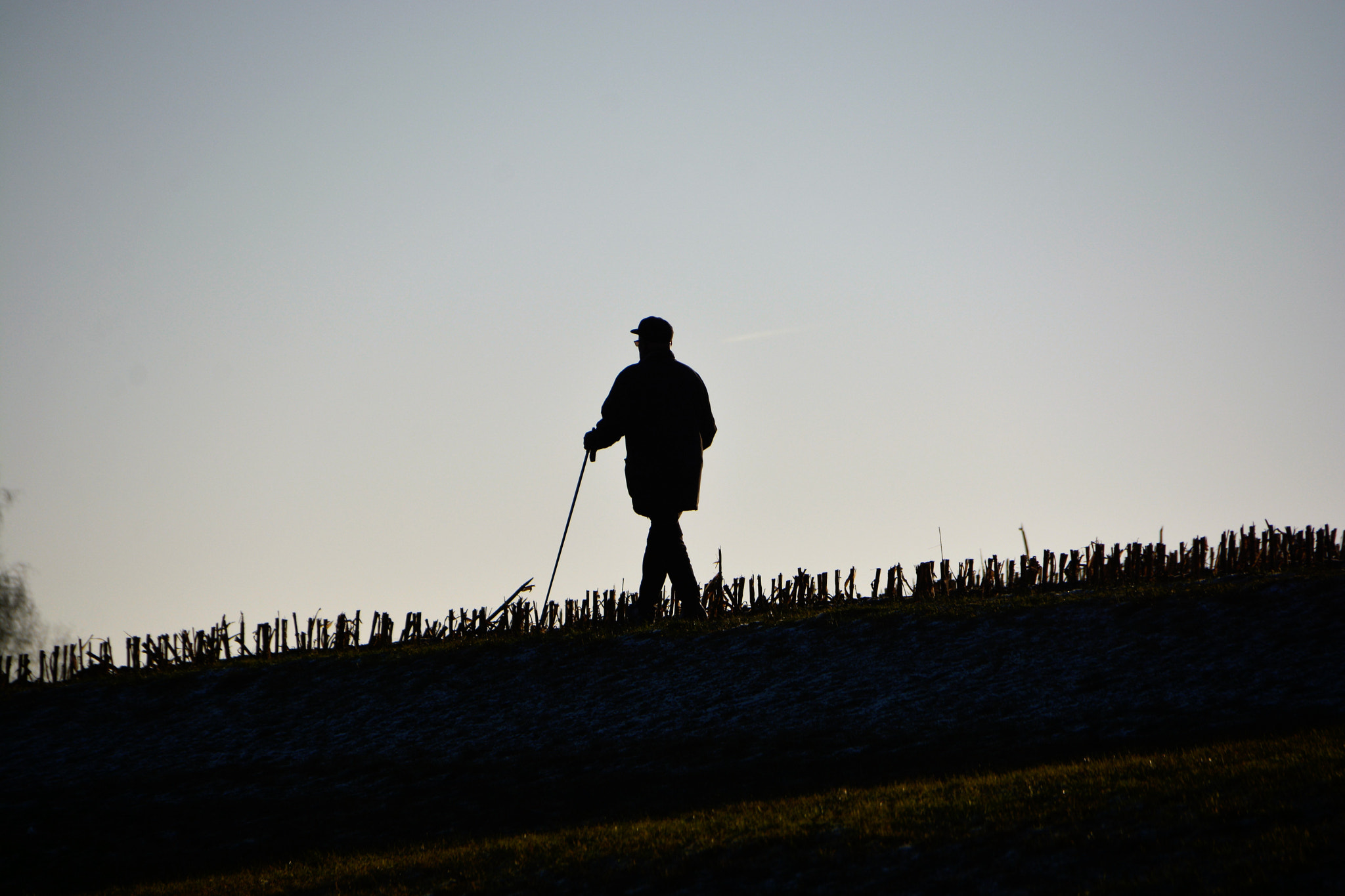 Sigma 18-250mm F3.5-6.3 DC OS HSM sample photo. First morningwalk 2017 photography