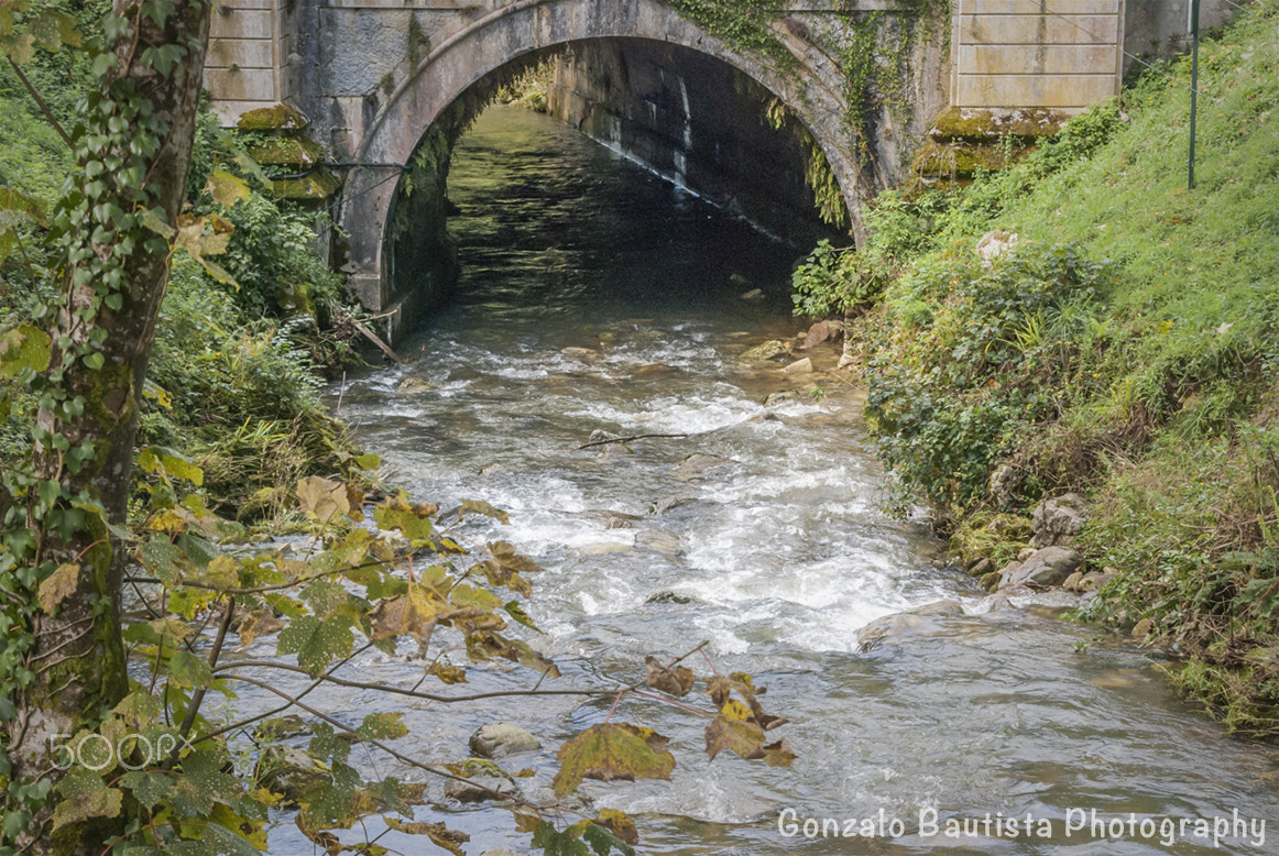 Nikon D40X sample photo. The river. photography