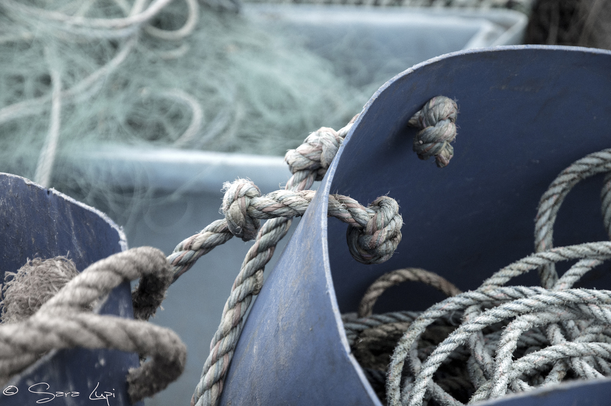 Nikon D5000 sample photo. Invisible trap photography