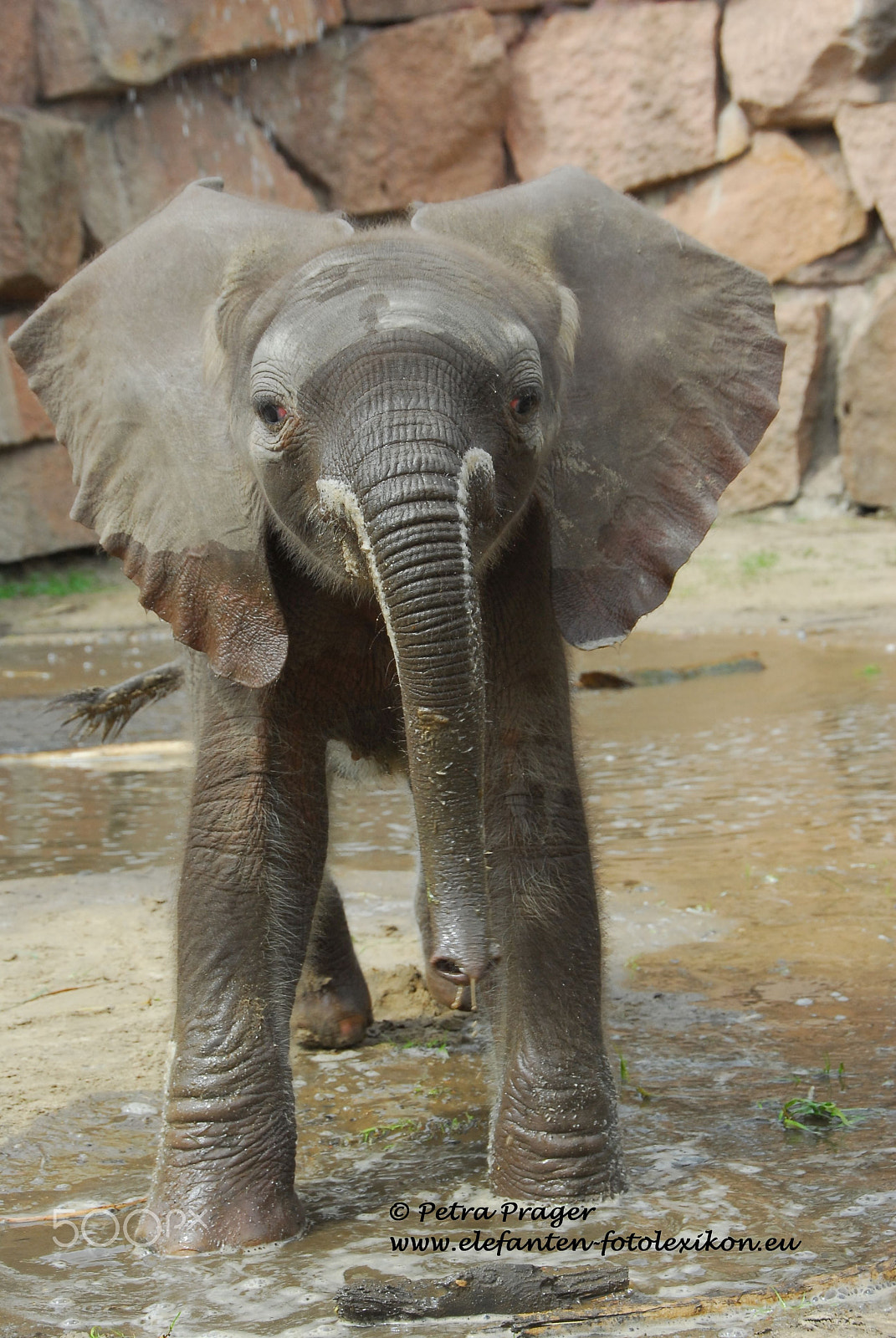Nikon D200 sample photo. Kando - love the mud photography