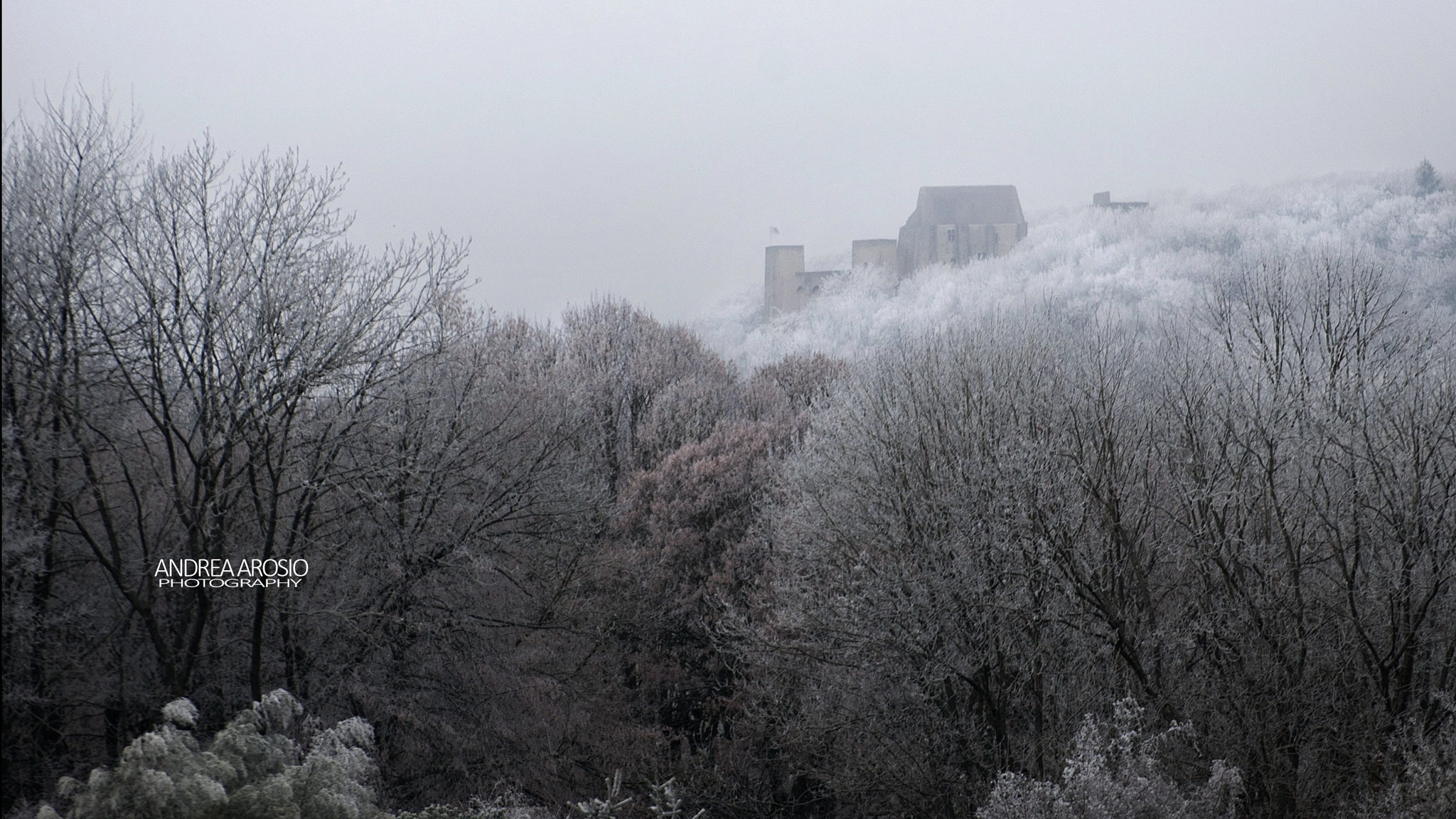 Nikon D80 sample photo. Winter castle photography