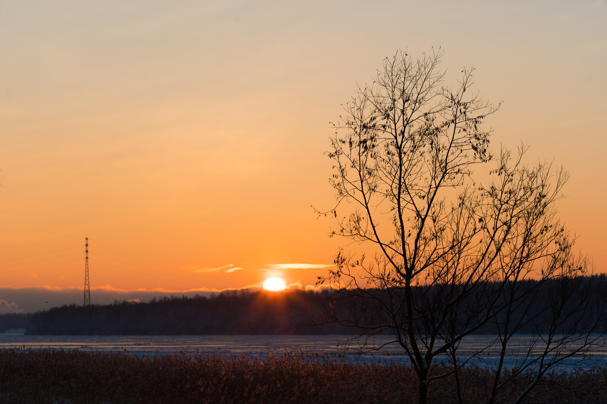 Canon EF 135mm F2L USM sample photo. *** photography