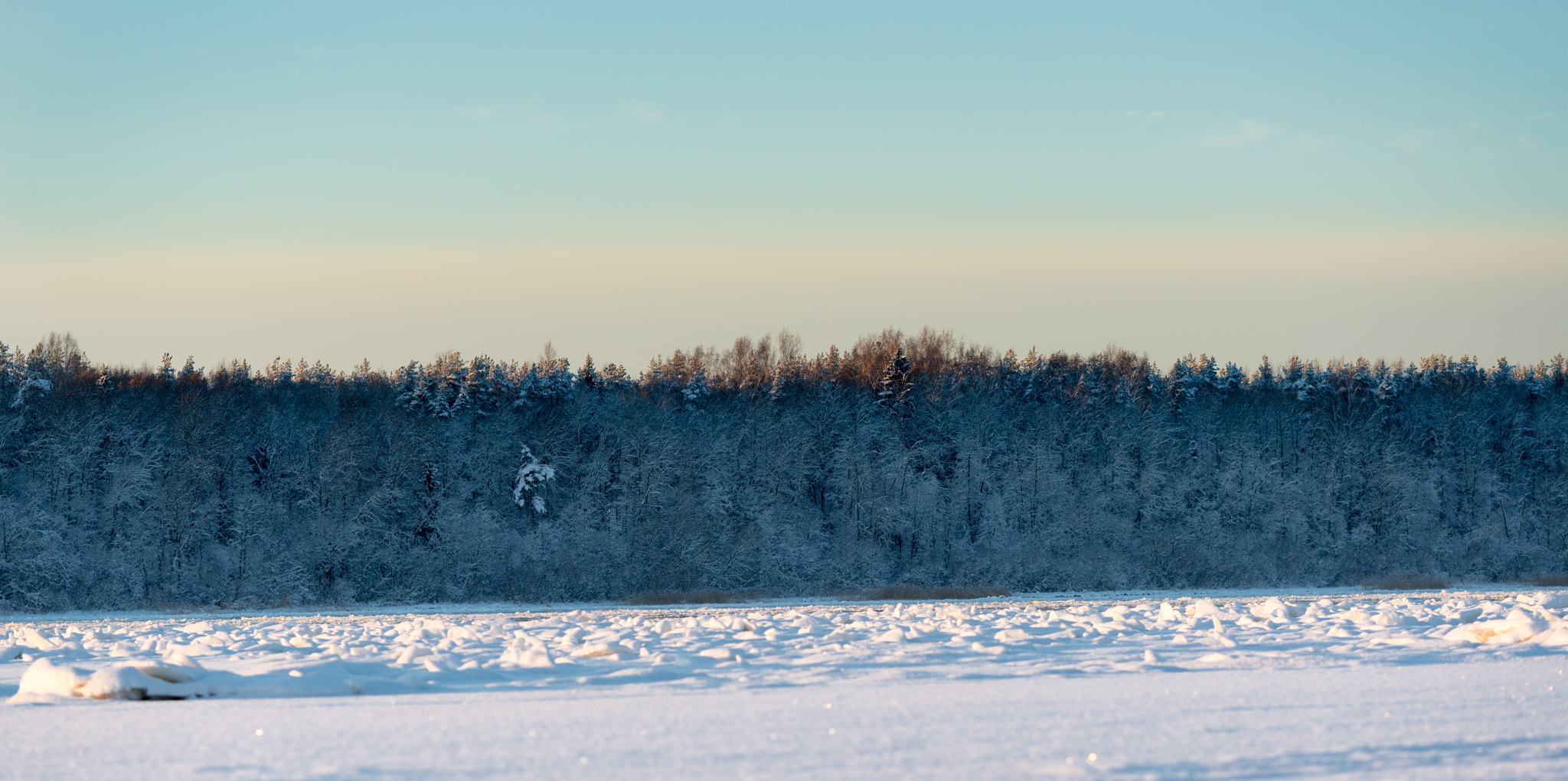 Sony a7R II + Canon EF 135mm F2L USM sample photo. *** photography