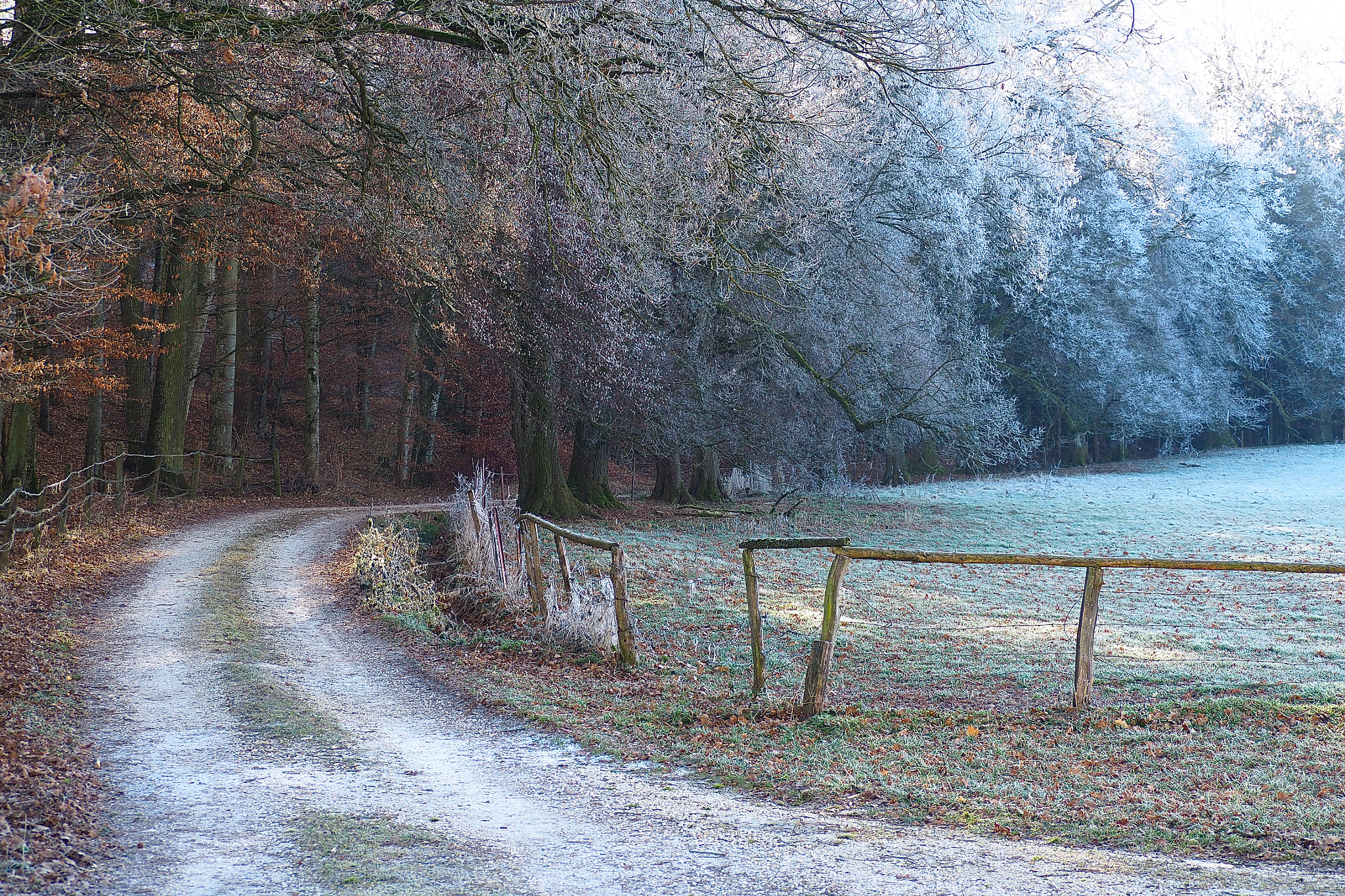 Olympus OM-D E-M5 II sample photo. Elmischwang way... photography