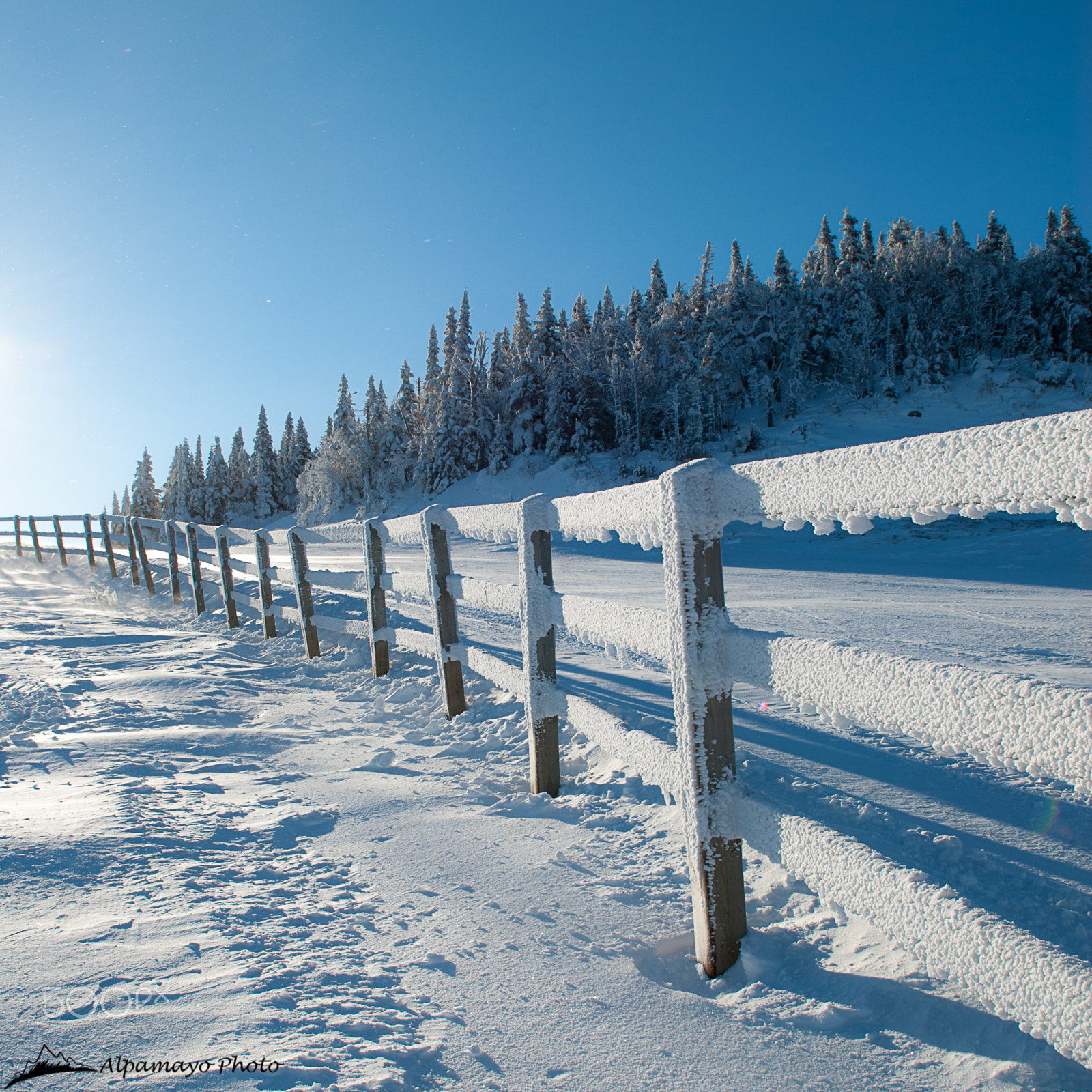 Nikon D200 sample photo. Cold but sunny photography