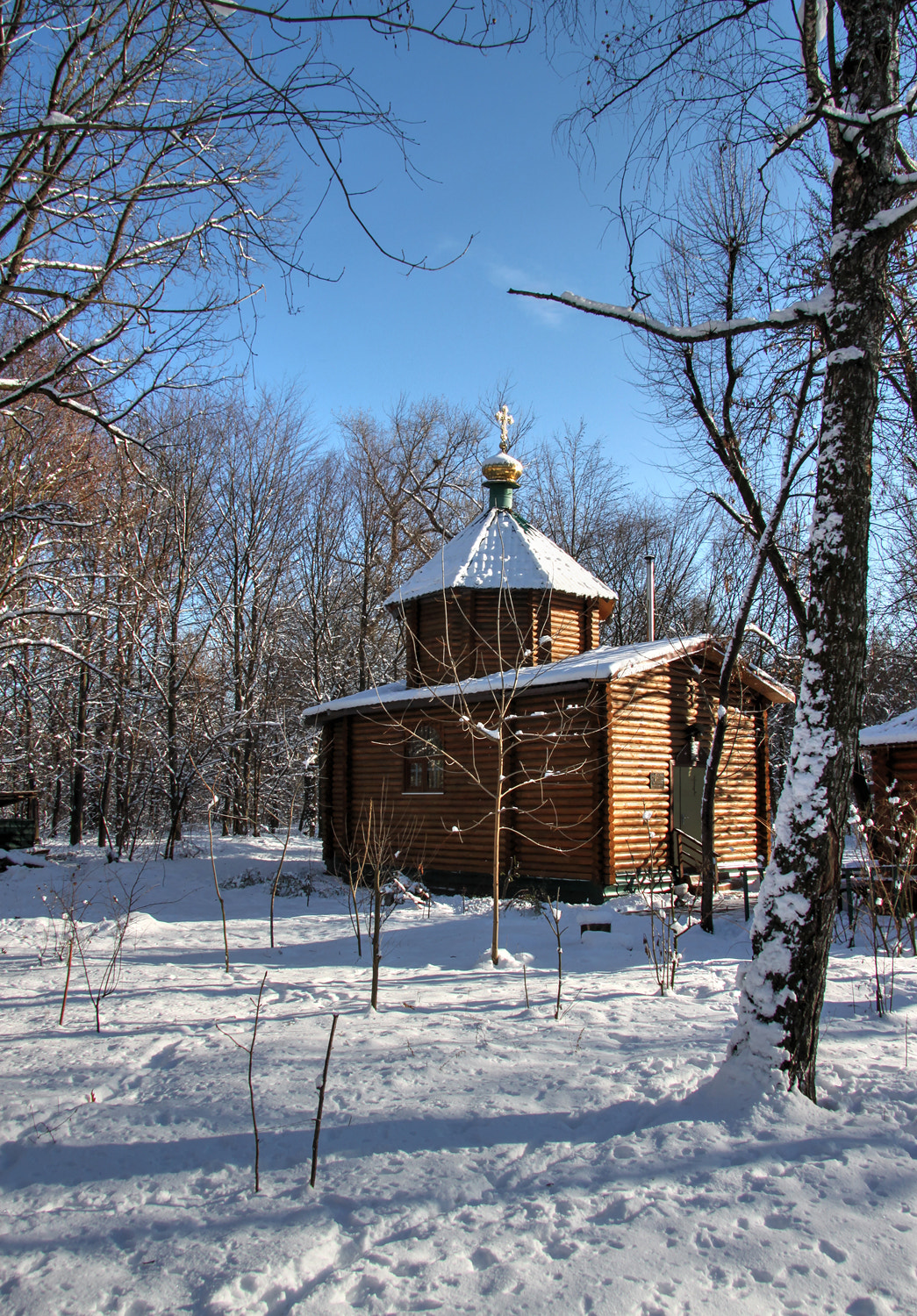 Canon EF-S 17-85mm F4-5.6 IS USM sample photo. The orthodox church, kiev photography