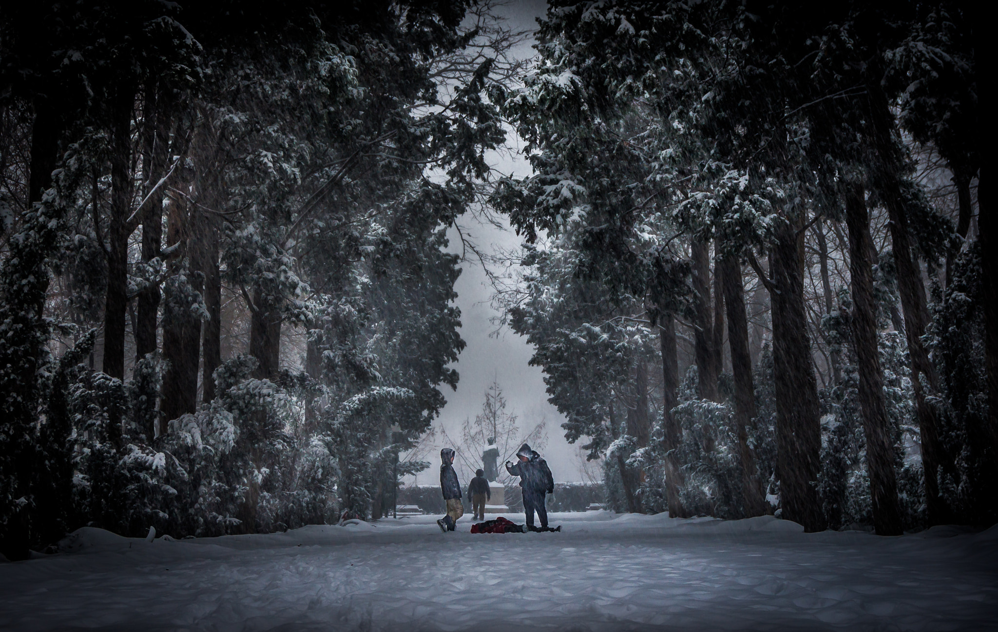 Sony Alpha DSLR-A500 sample photo. Sea garden in snow photography