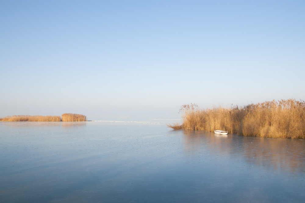 Nikon D90 + Sigma 18-50mm F2.8 EX DC Macro sample photo. Winter minimal photography