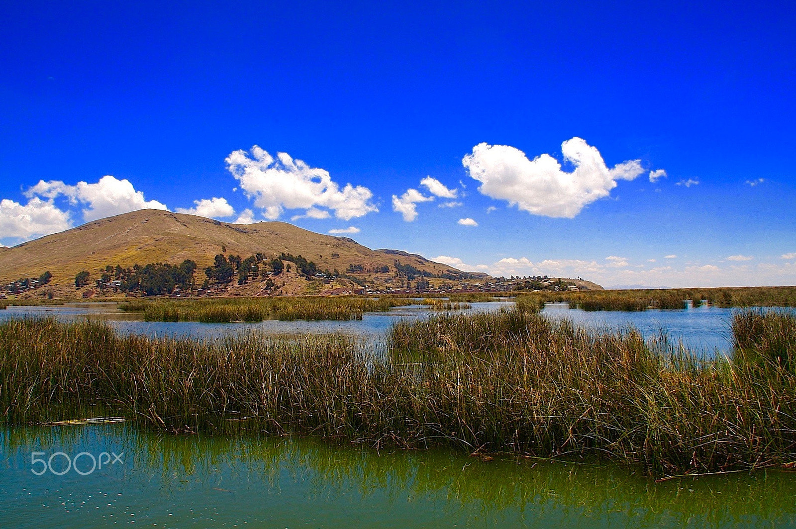 Canon EOS 40D sample photo. Titicaca photography
