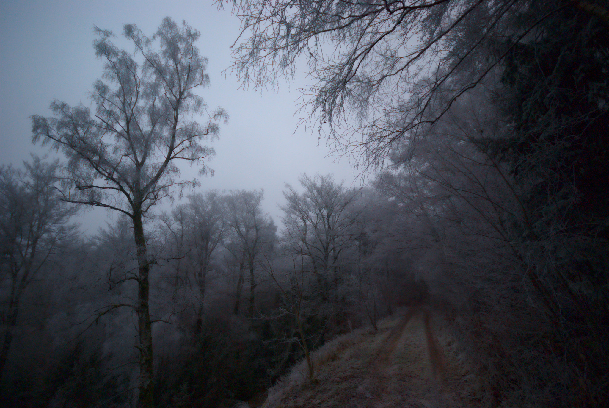 Sigma 10-20mm F4-5.6 EX DC HSM sample photo. Mystic winter mood photography