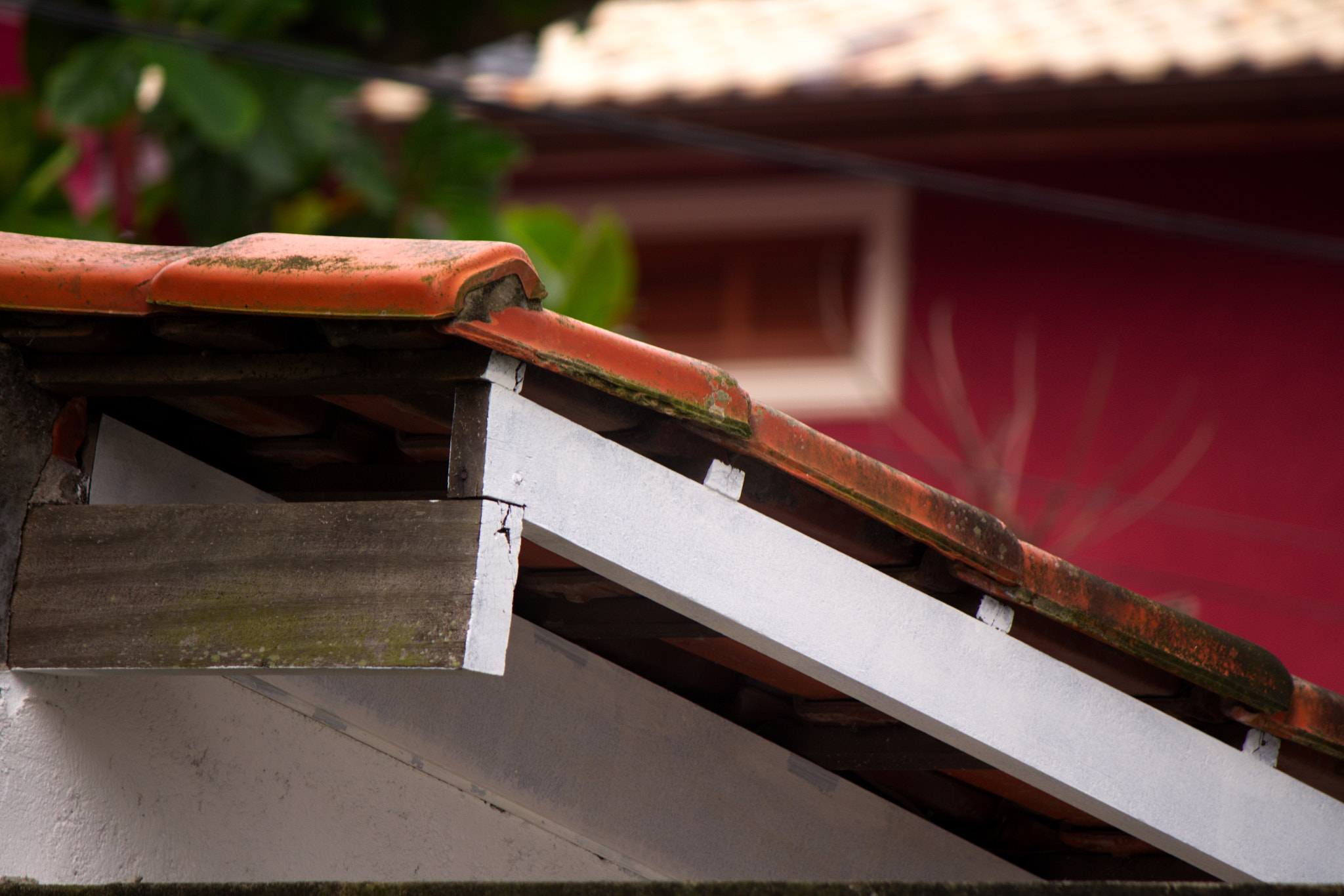 Canon EF-S 55-250mm F4-5.6 IS sample photo. Tile roof photography