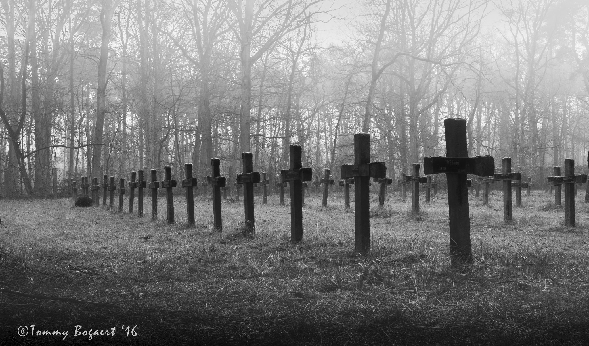 Canon EF 28mm F2.8 sample photo. Cemetery of the insane photography