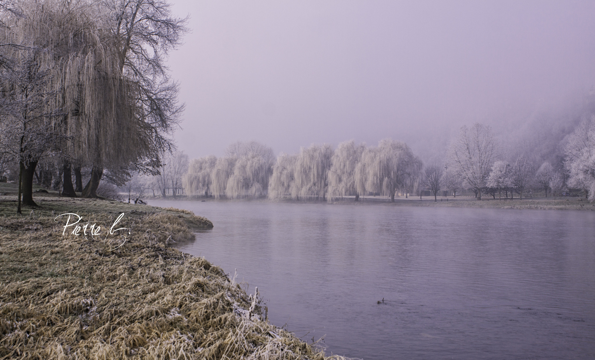 Canon EOS 50D sample photo. Happy frozen year photography