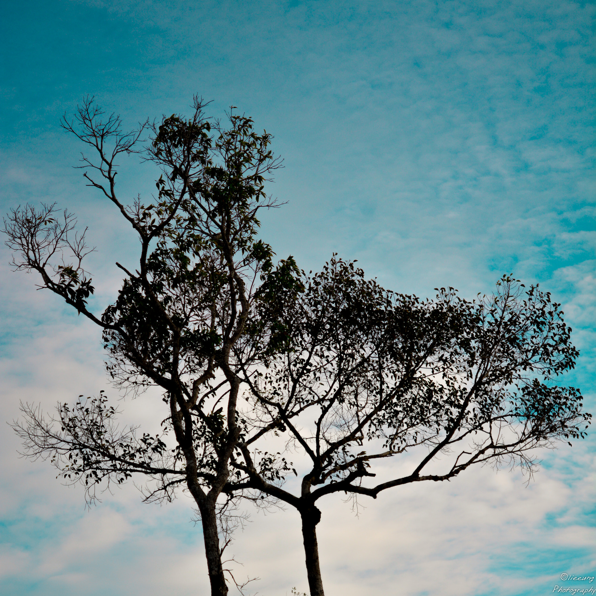 Nikon AF-S Micro-Nikkor 60mm F2.8G ED sample photo. Phu quoc trip photography