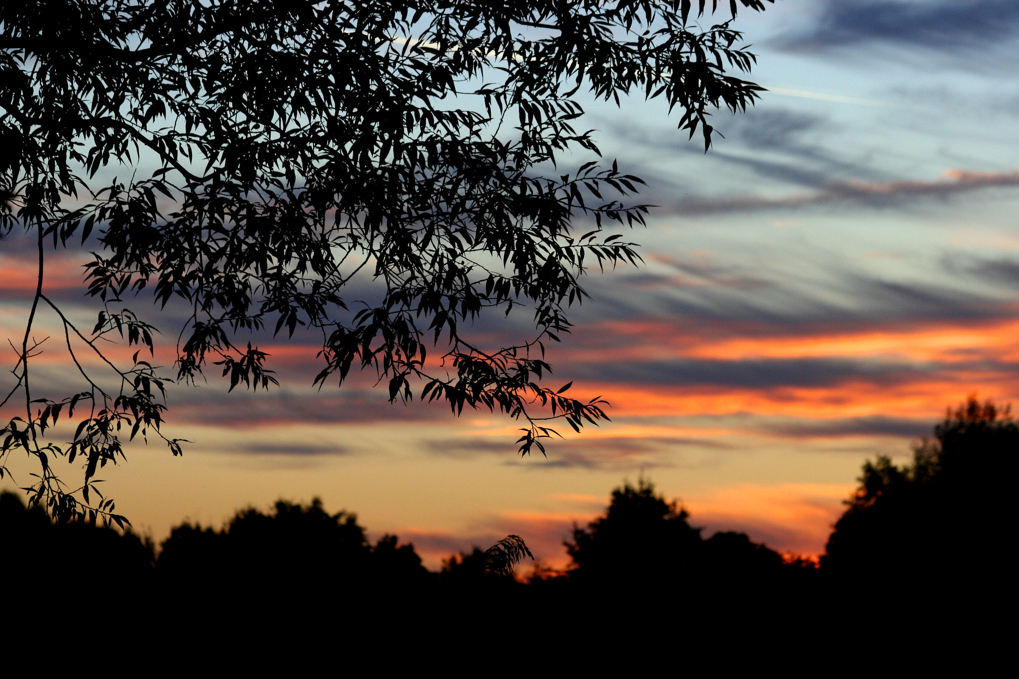 Canon EOS 400D (EOS Digital Rebel XTi / EOS Kiss Digital X) sample photo. Sunset photography
