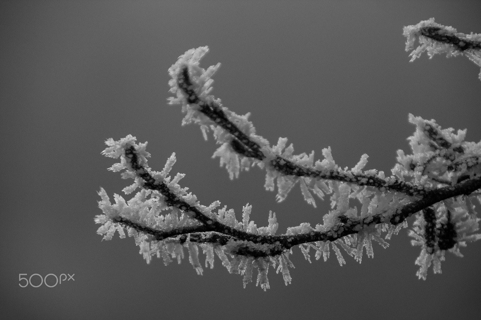 Canon EOS 60D sample photo. Not winter yet photography