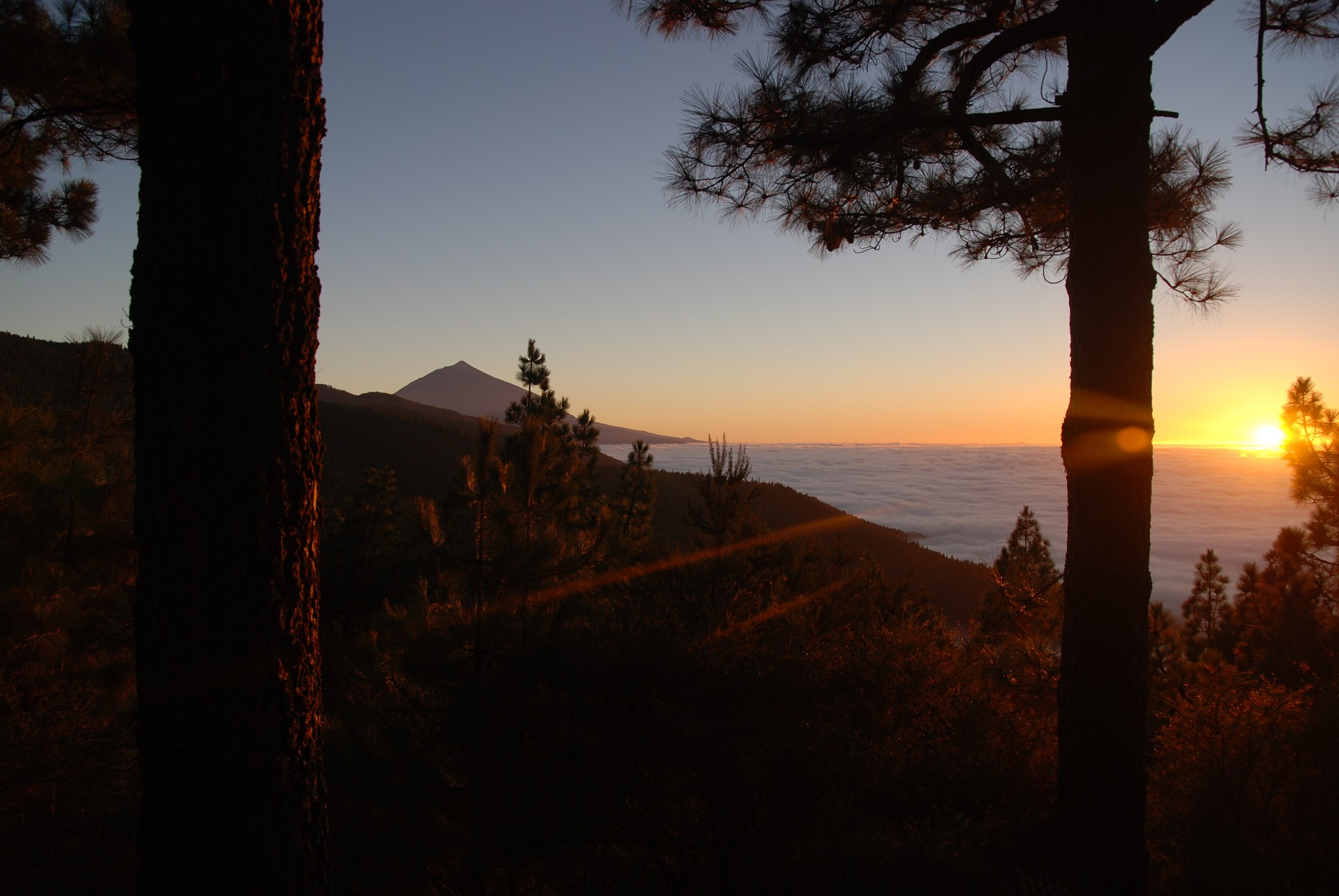 Nikon D80 sample photo. Mt. teide, tenerife photography