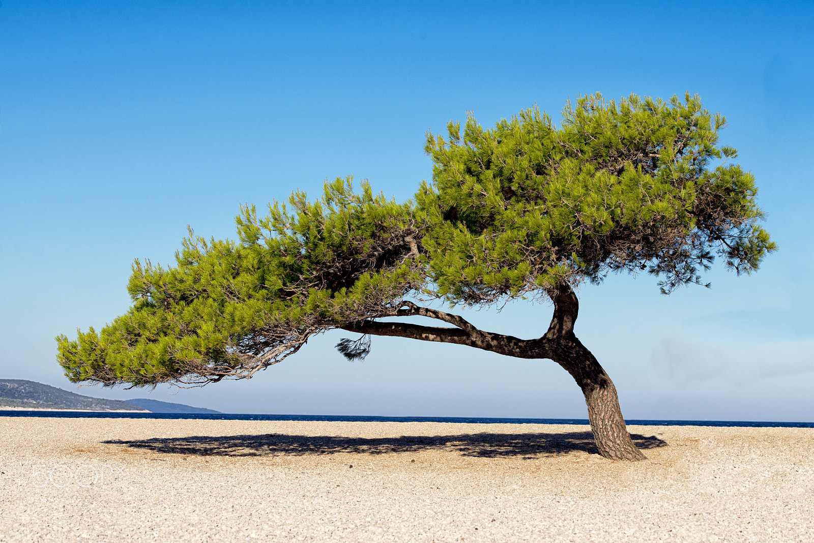 Sigma 105mm F2.8 EX DG OS HSM sample photo. Julij bol zlatni rat beach photography