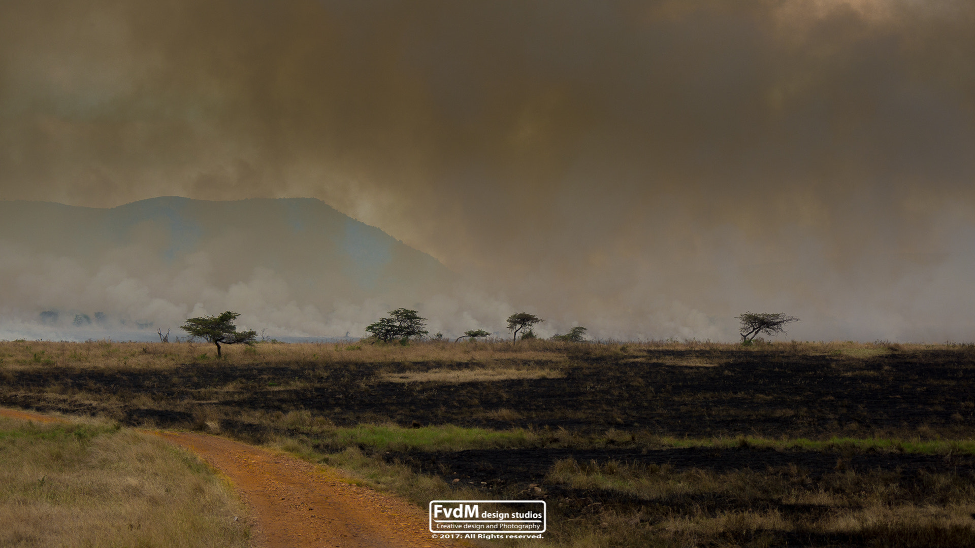 Sony SLT-A77 + Sony 70-400mm F4-5.6 G SSM sample photo. Burning land... photography