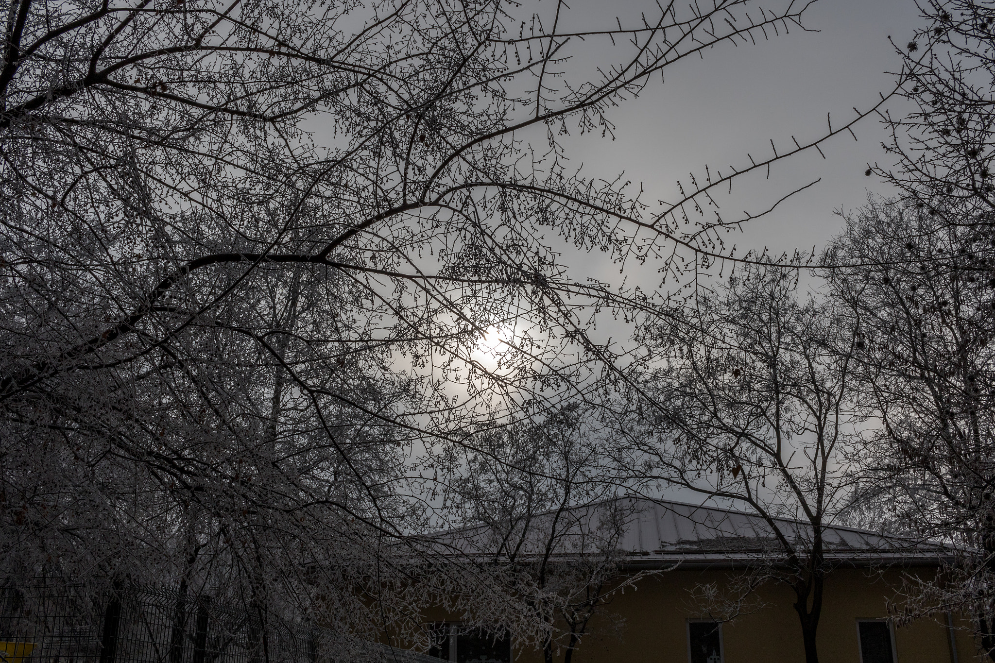 Canon EF-S 24mm F2.8 STM sample photo. New year's morning photography