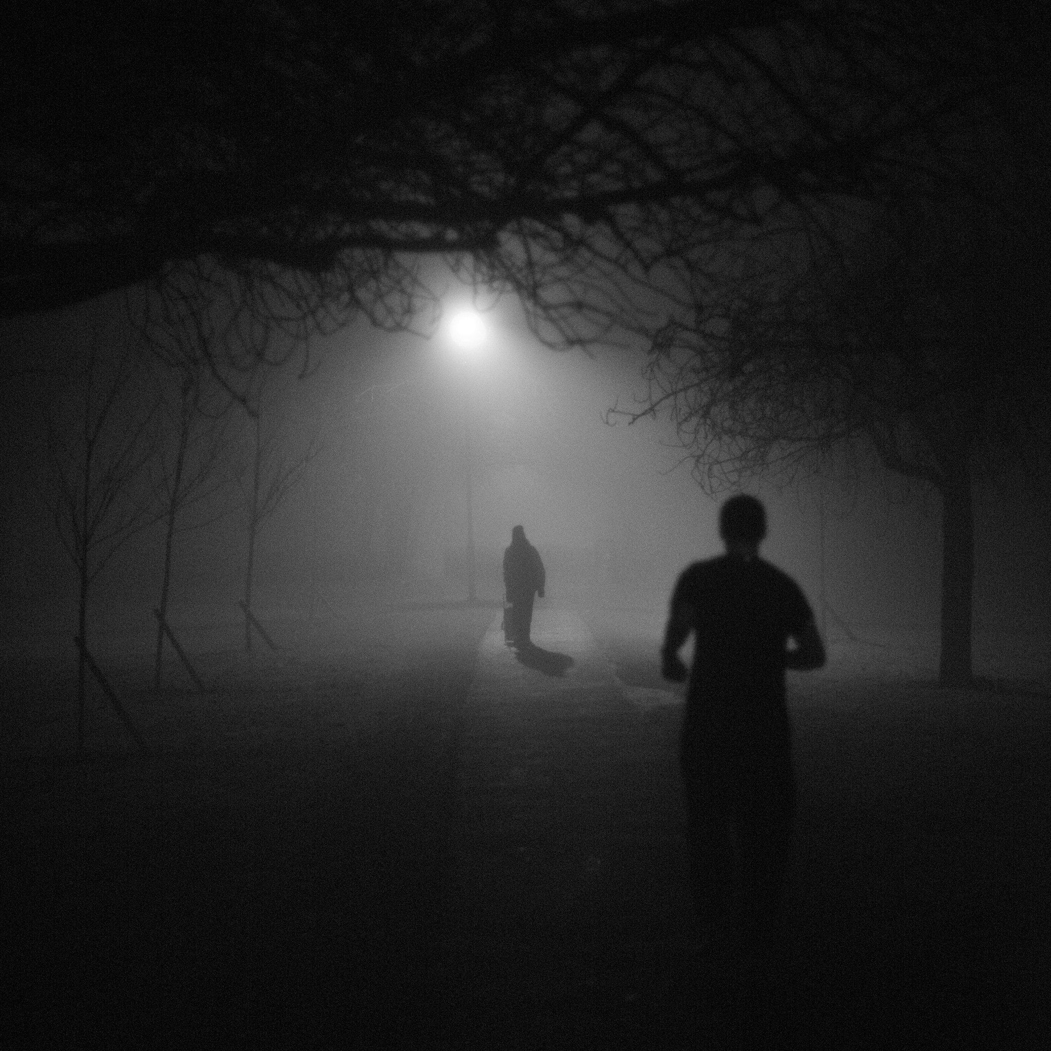 Nikon D600 sample photo. Foggy evening on the stray photography