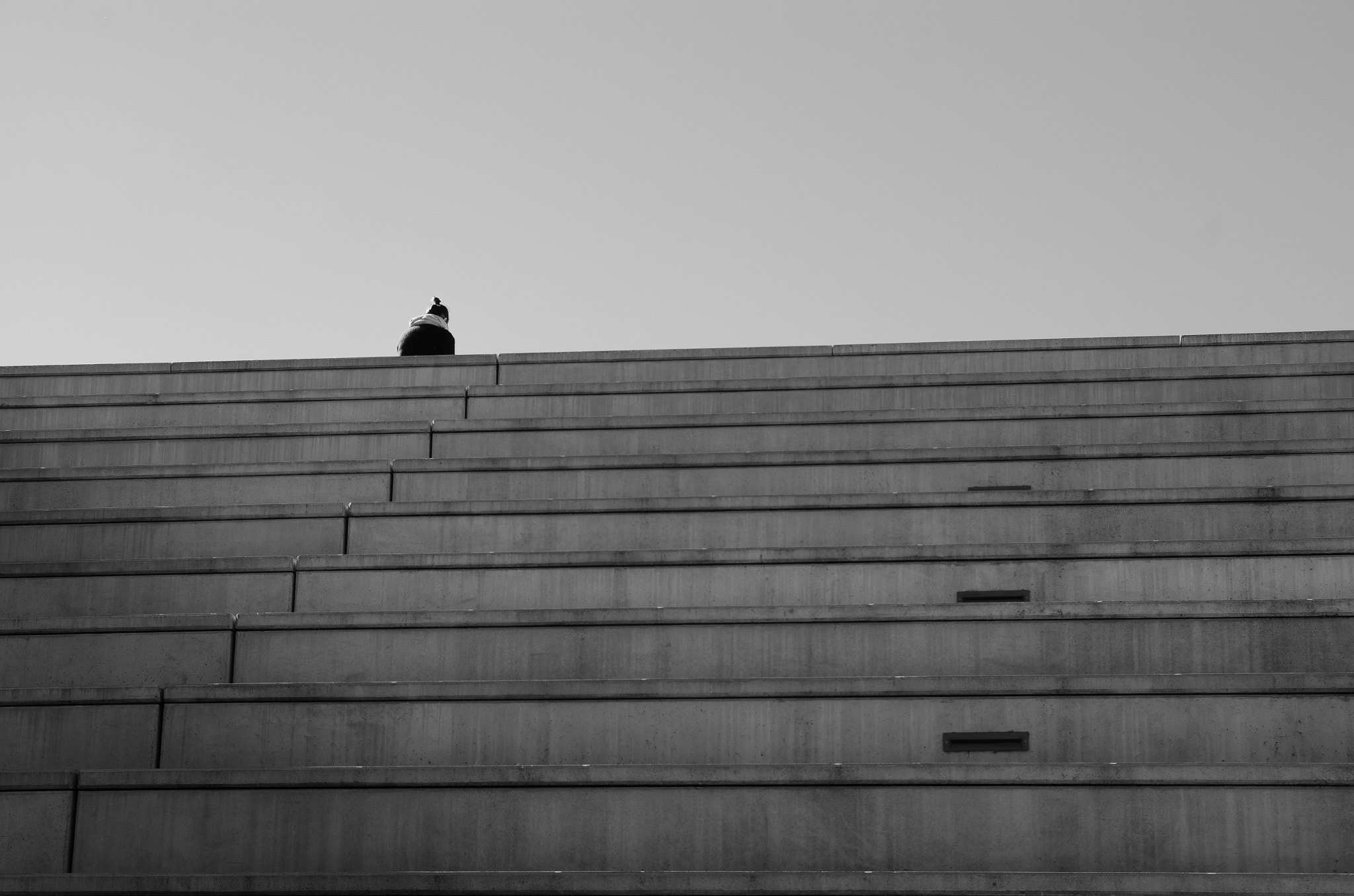 Nikon D7000 + Sigma 18-50mm F2.8 EX DC Macro sample photo. Loneliness at the top photography