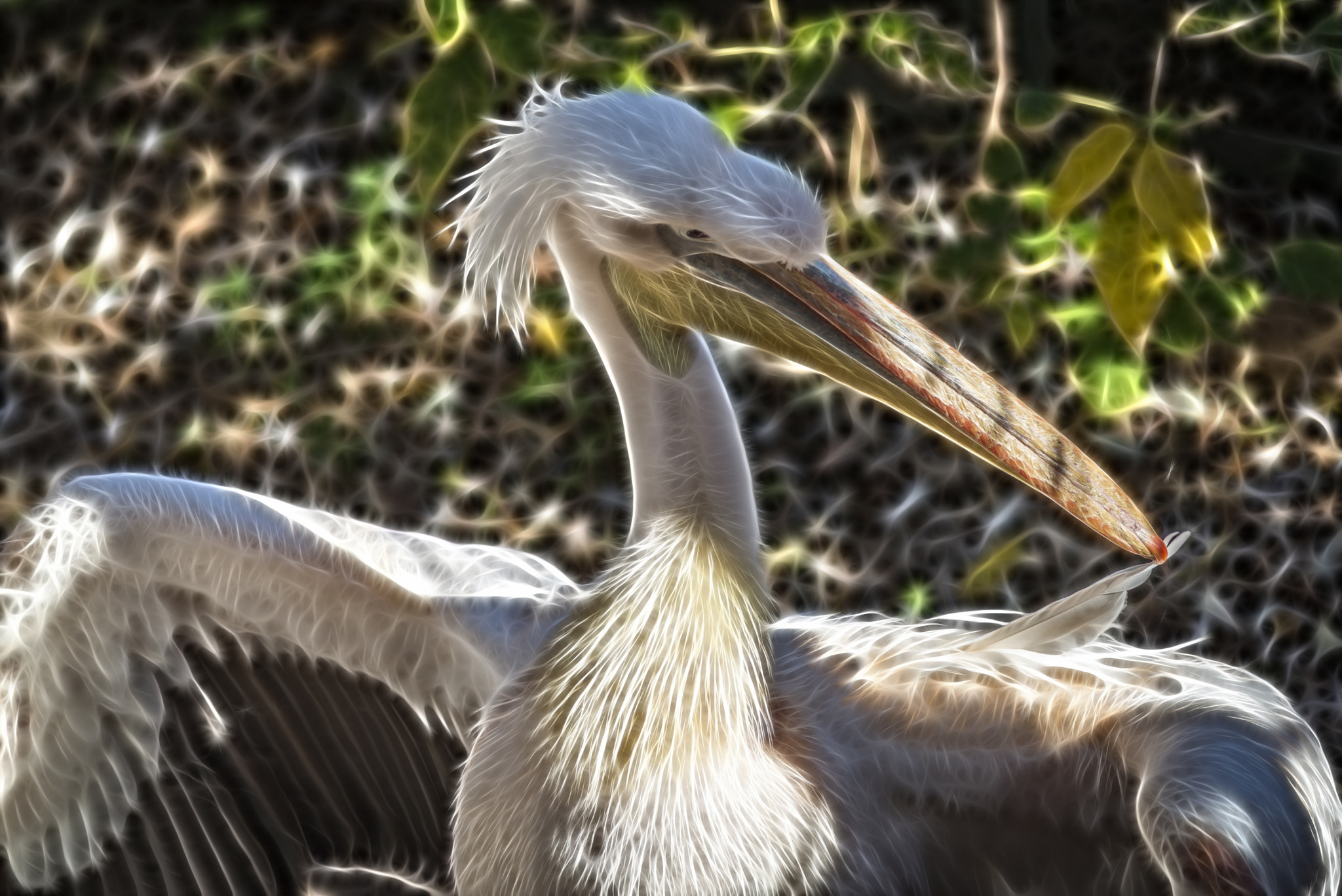 Nikon D600 sample photo. Cleaning feathers photography