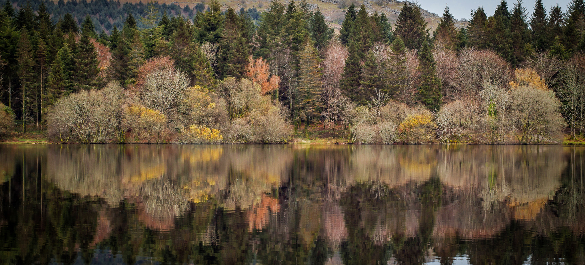 Canon EOS 650D (EOS Rebel T4i / EOS Kiss X6i) sample photo. Burrator reflections photography