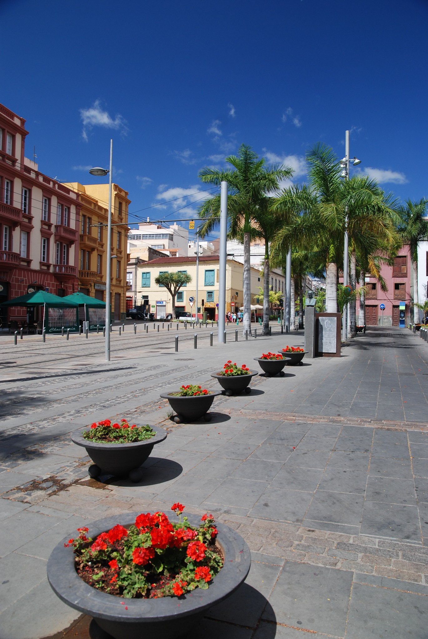 Sigma 17-70mm F2.8-4.5 DC Macro Asp. IF sample photo. Tenerife photography