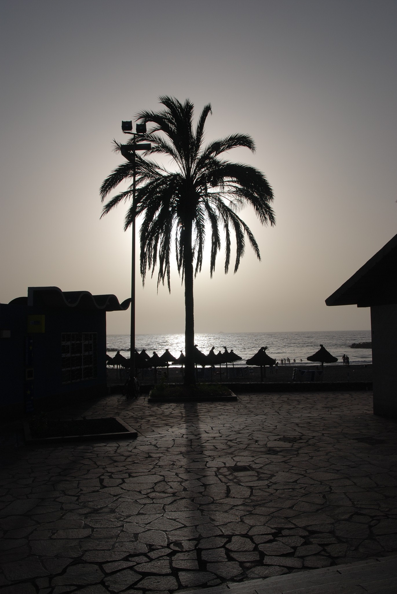 Nikon D80 sample photo. Tenerife photography