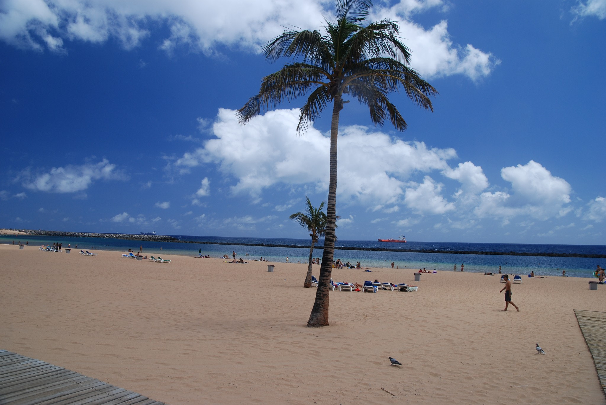 Sigma 17-70mm F2.8-4.5 DC Macro Asp. IF sample photo. Tenerife photography
