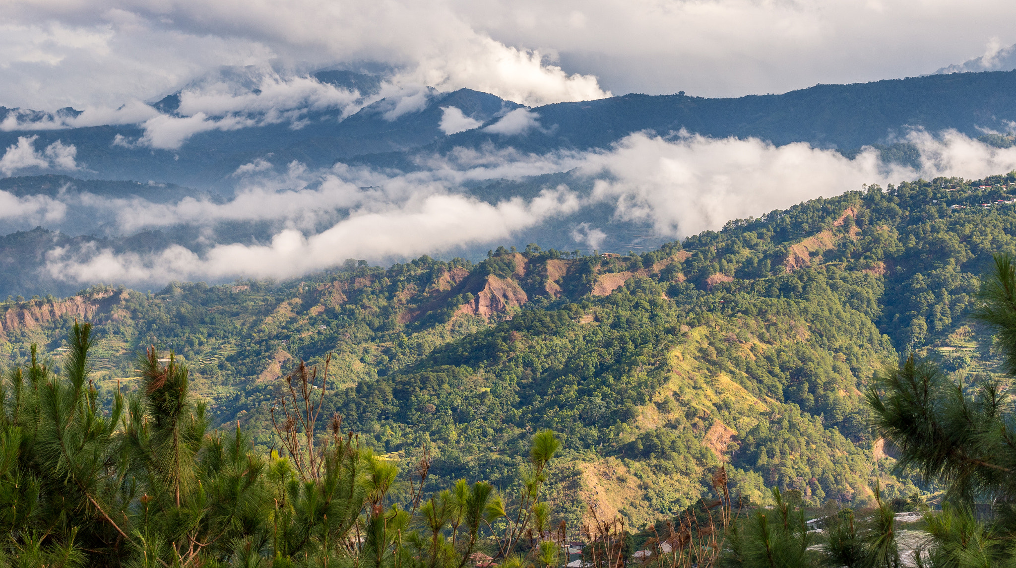 Canon EOS 750D (EOS Rebel T6i / EOS Kiss X8i) + Canon EF 50mm F1.8 II sample photo. Benguet photography