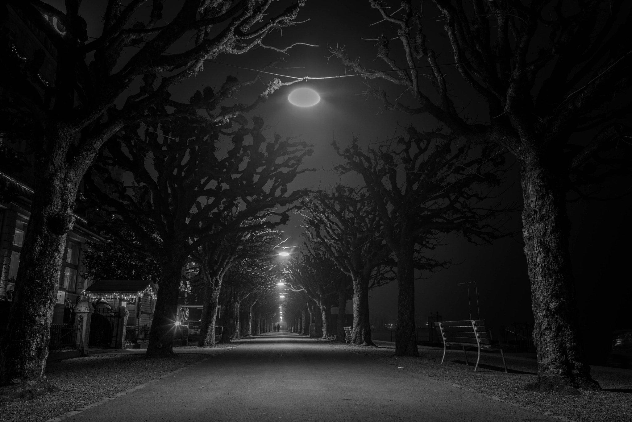 Leica Elmarit-M 28mm F2.8 ASPH sample photo. Promenade lake lucerne photography