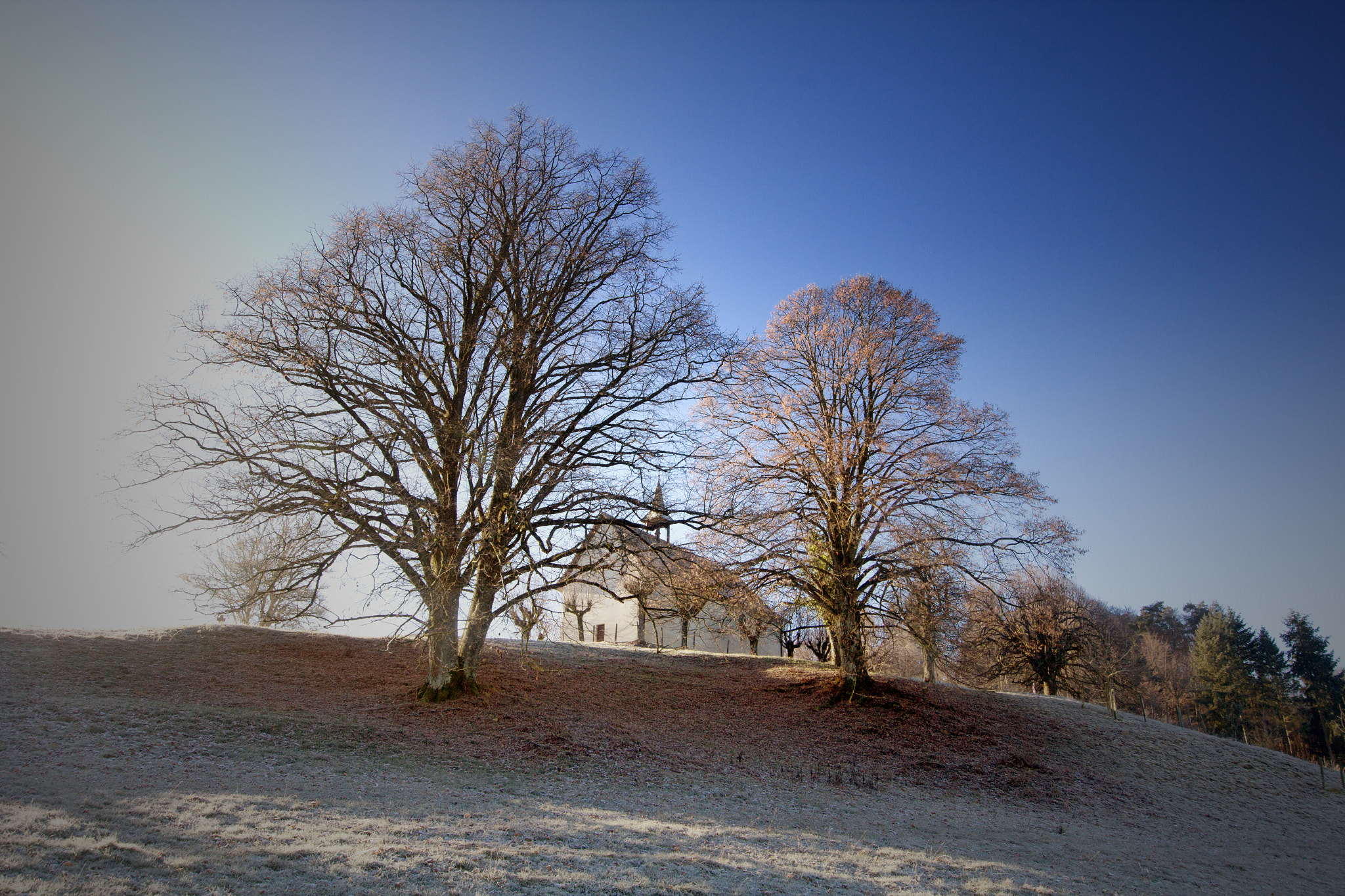 Canon EOS 60D + Sigma 12-24mm F4.5-5.6 II DG HSM sample photo. Saint gilles photography