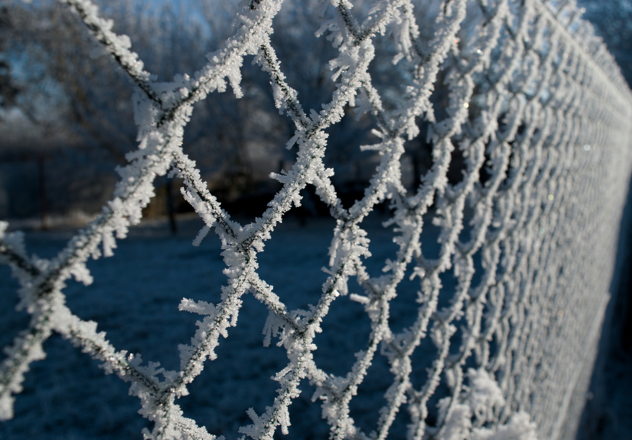 18.00 - 55.00 mm f/3.5 - 5.6 sample photo. Fence photography