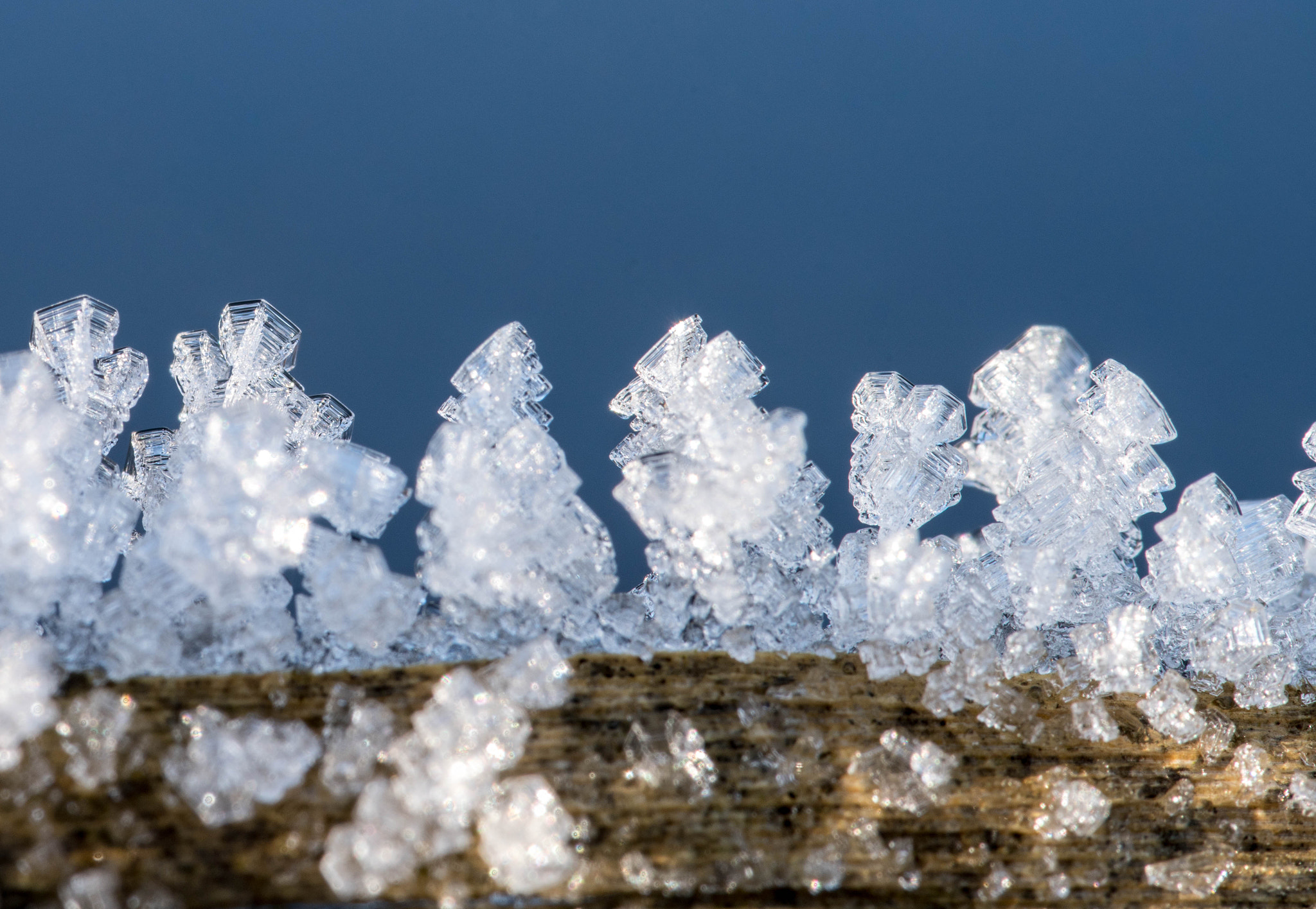 Sony a7R II + 90mm F2.8 Macro SSM sample photo. Eiskristall (von ) photography