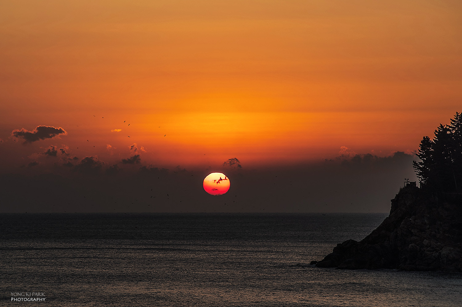Pentax K-1 sample photo. Dreaming a peaceful new year photography