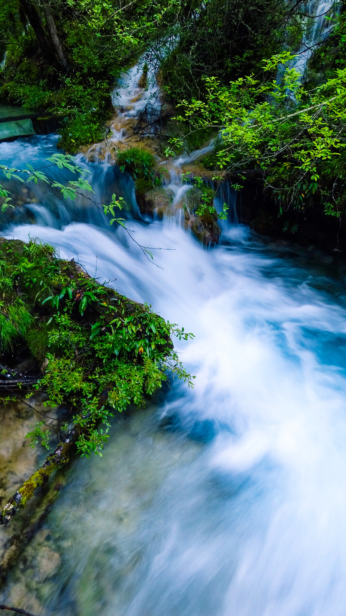 Sony DSC-HX7 sample photo. From jiuzhaigou,china. photography