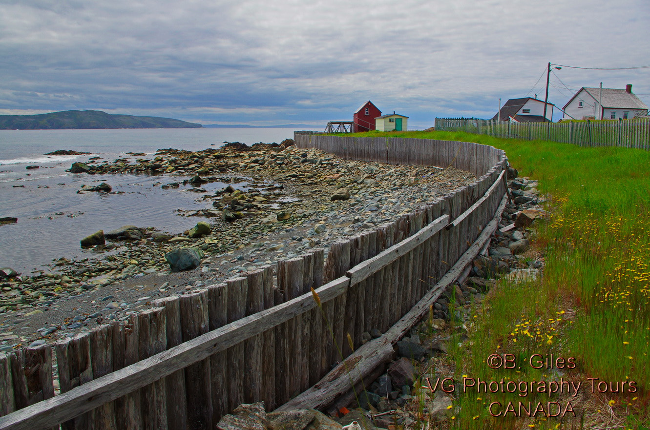 Pentax smc DA 18-55mm F3.5-5.6 AL WR sample photo. Old newfoundland photography