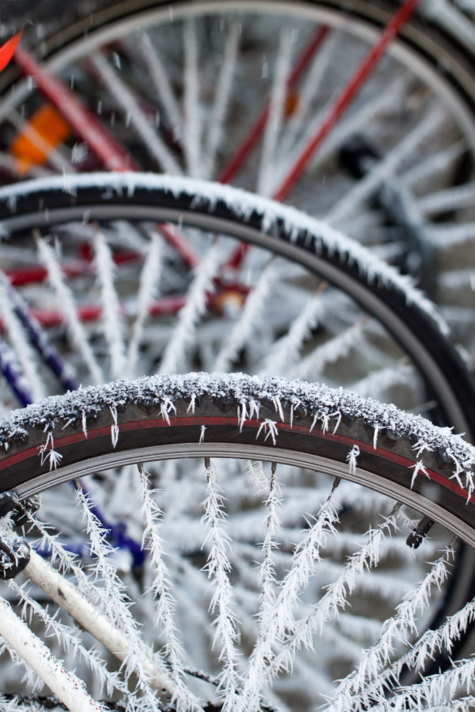 Canon EF 100mm F2.8L Macro IS USM sample photo. Winter tires photography