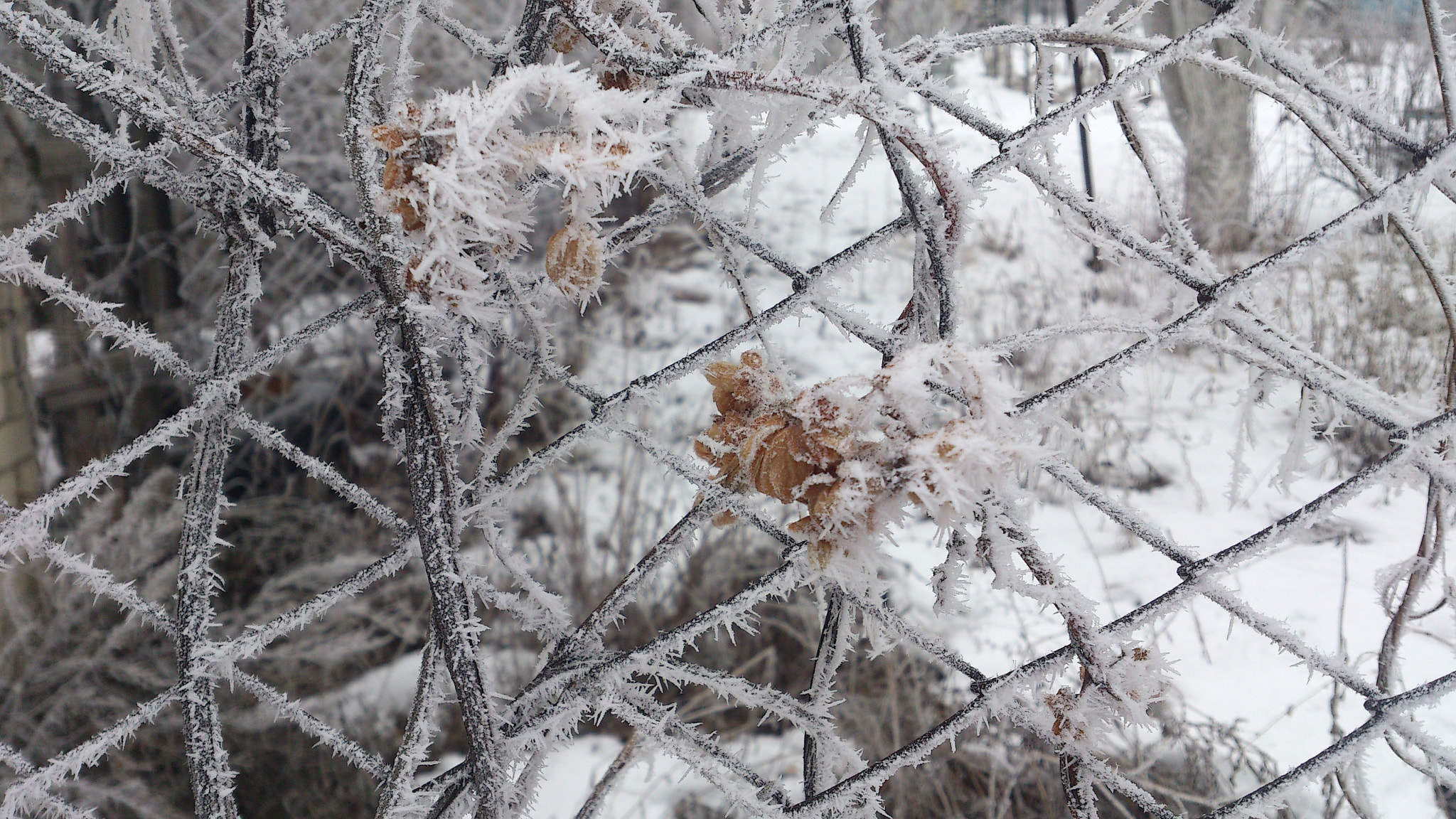 Sony Ericsson Xperia S sample photo. #2 photography
