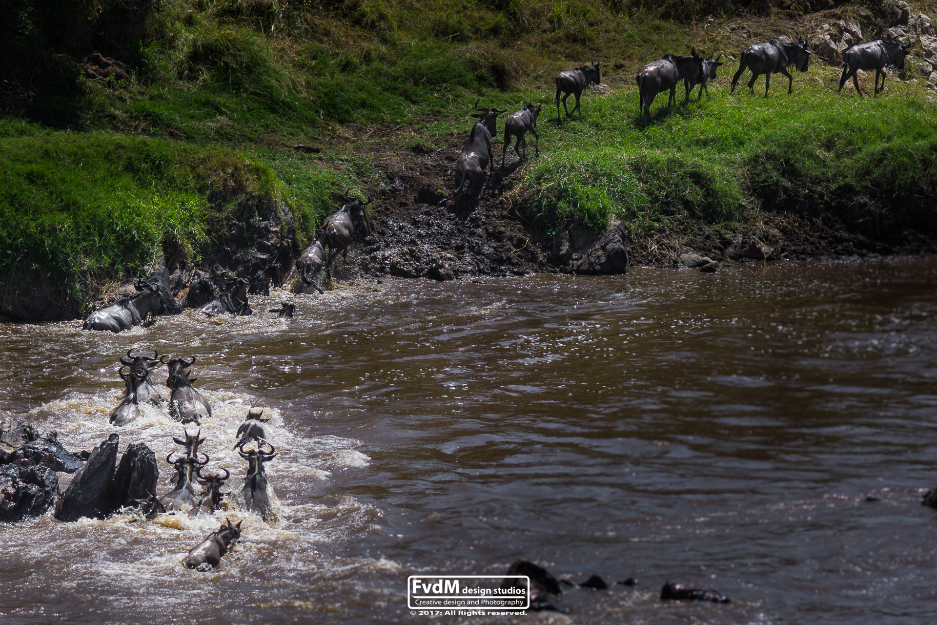 Sony SLT-A77 + Sony 70-400mm F4-5.6 G SSM sample photo. The long-awaited mara... photography