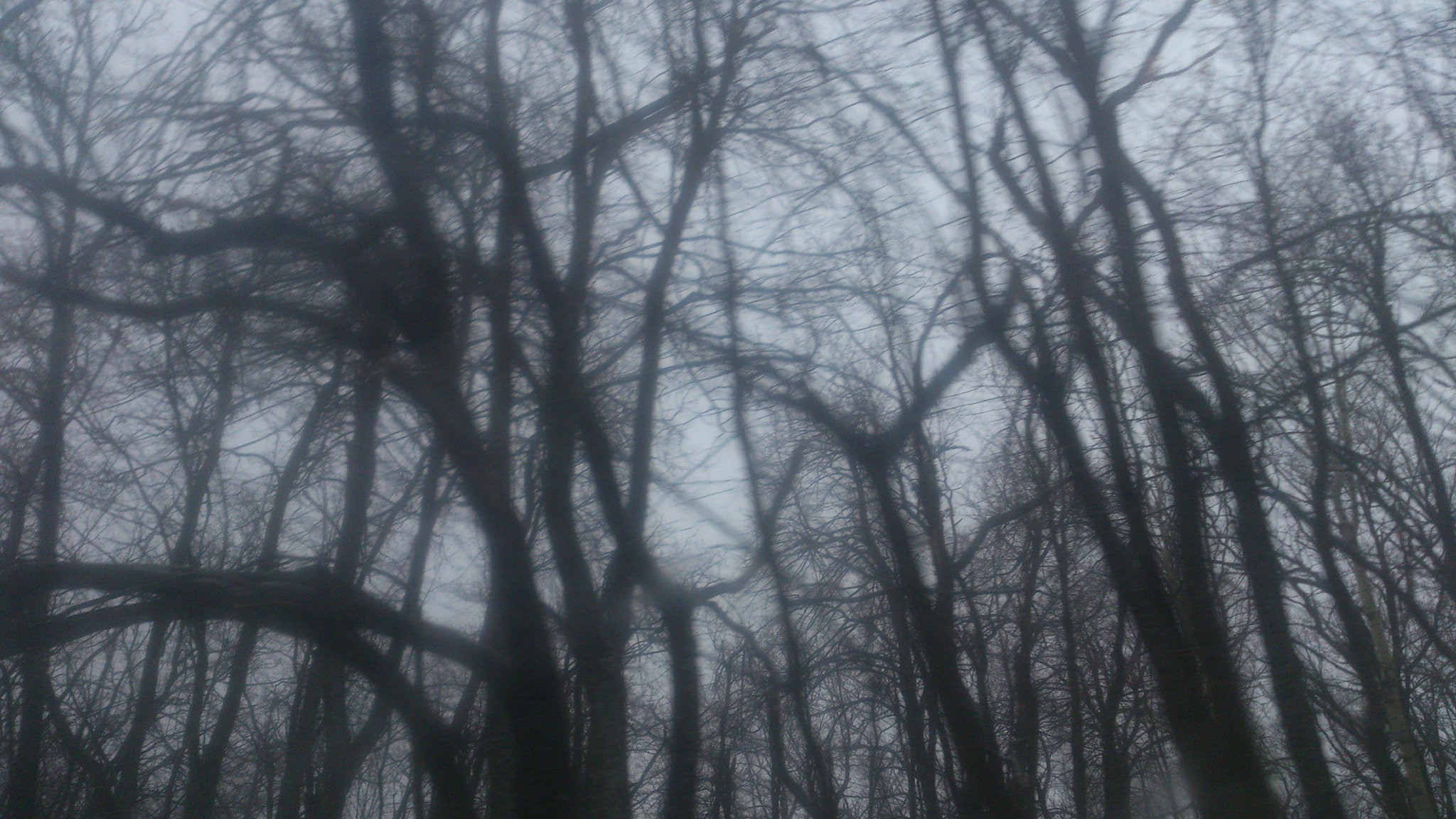 Sony Ericsson Xperia S sample photo. #3 photography