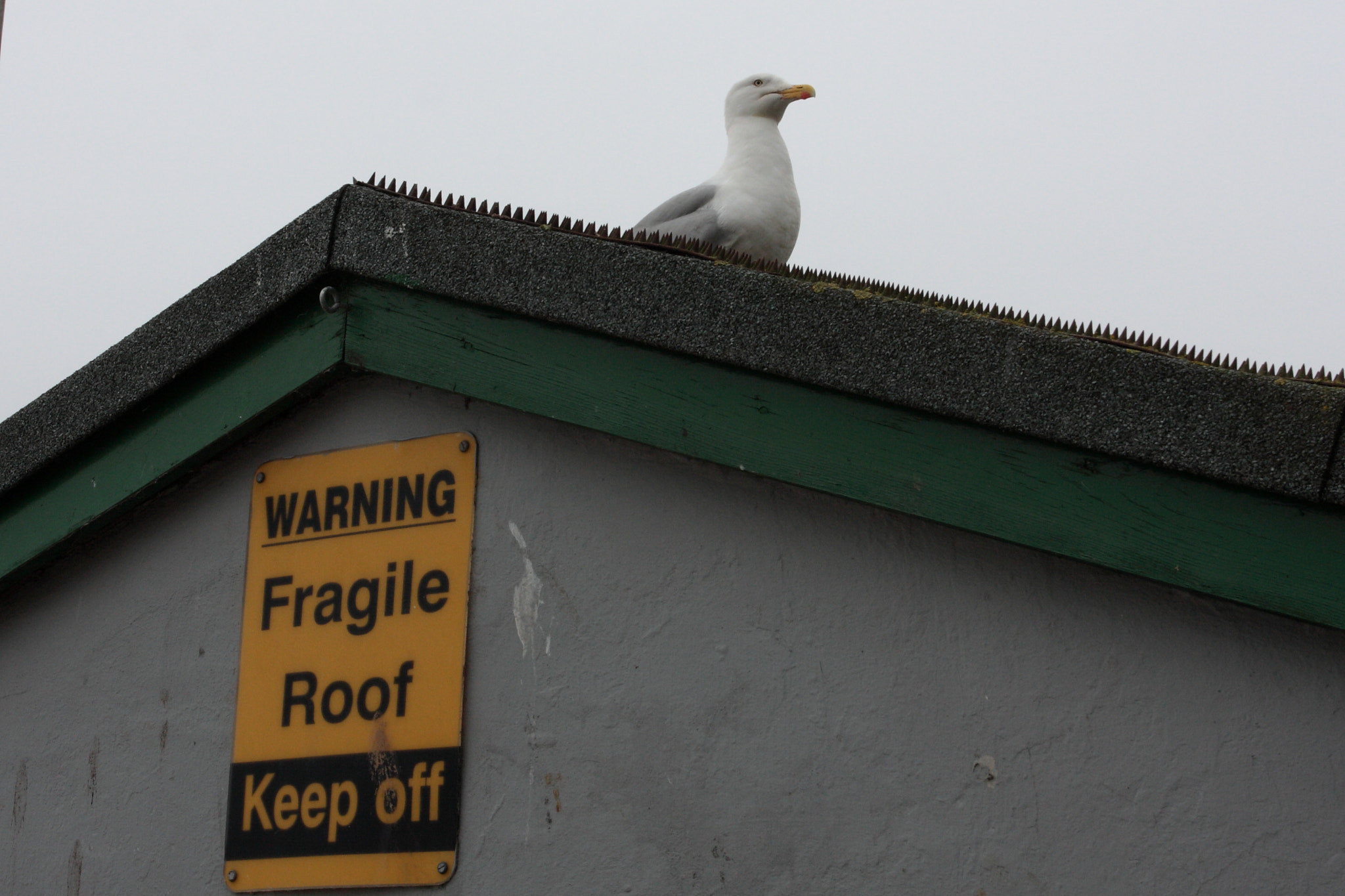 Canon EOS 40D + Canon EF 17-40mm F4L USM sample photo. Fragile roof photography