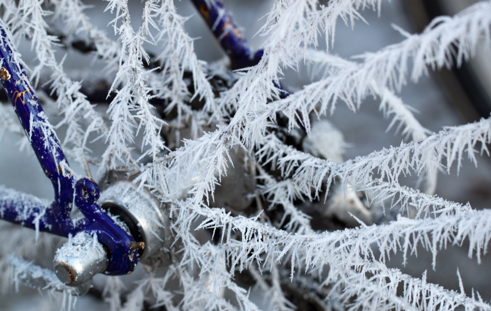 Canon EF 100mm F2.8L Macro IS USM sample photo. Winter wheel spoke photography