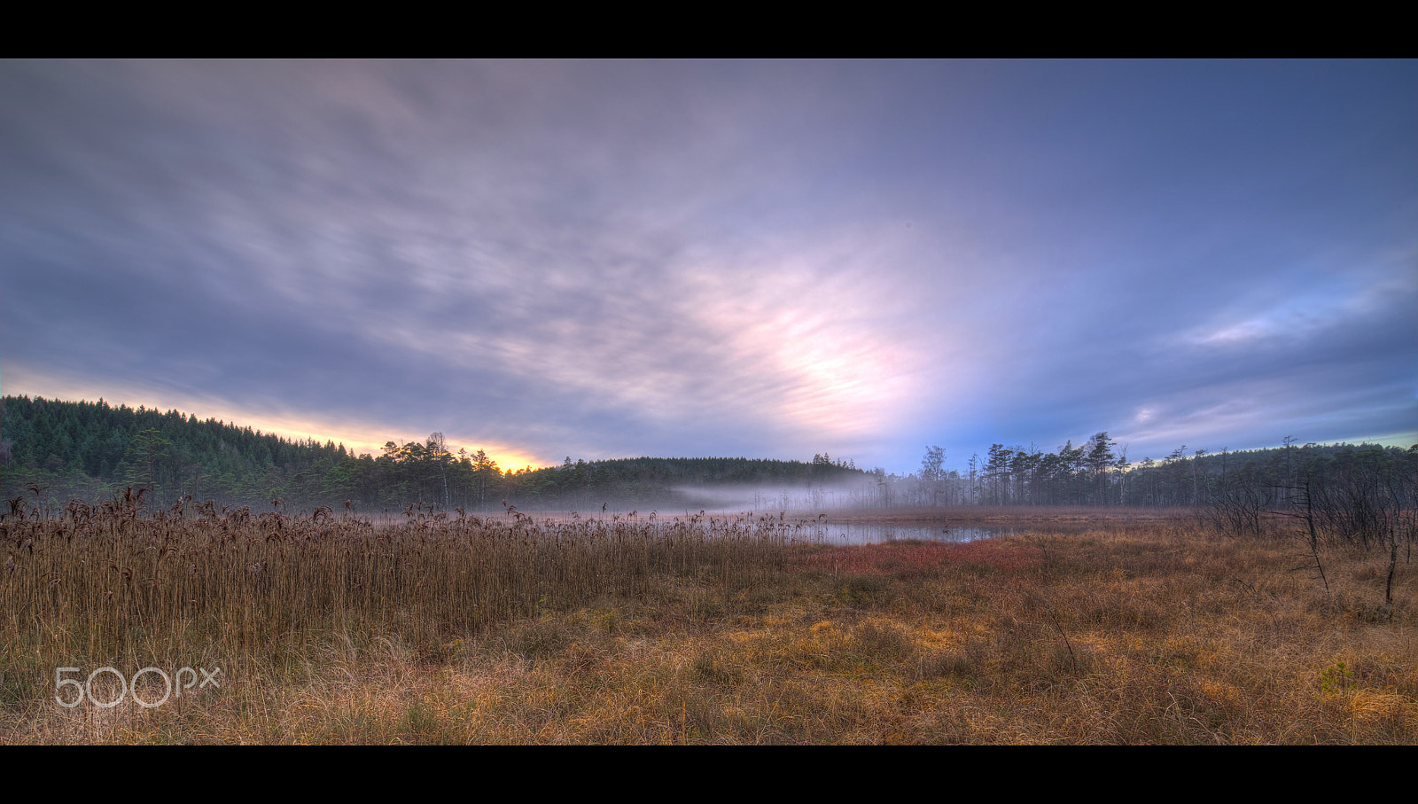 Tamron SP 15-30mm F2.8 Di VC USD sample photo. Outdoors... photography